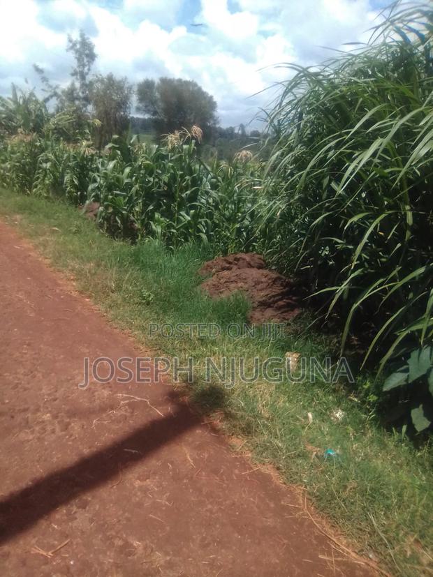 Limuru Karanjee Plot - thumbnail 2