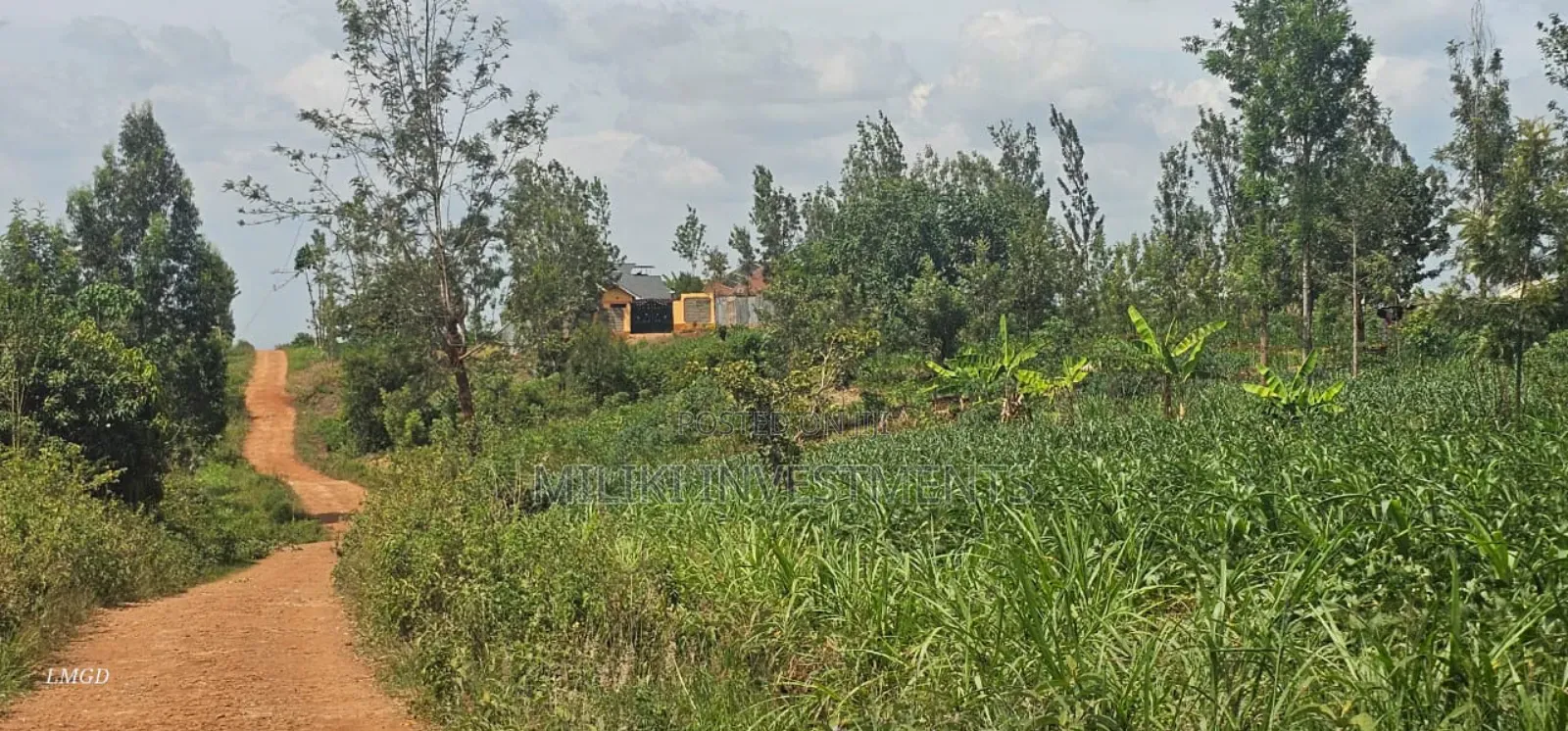 40 by 80 Plots on Sale at Kenol, Kimorori