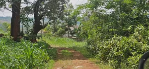 40 by 80 Plots on Sale at Kenol, Kimorori