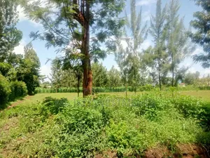 A Commercial Quarter an Acre at Kenol.