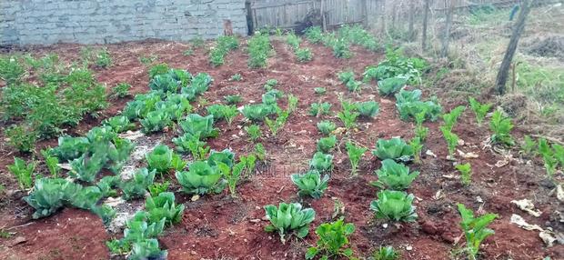 Home . Commercial Plot - main view