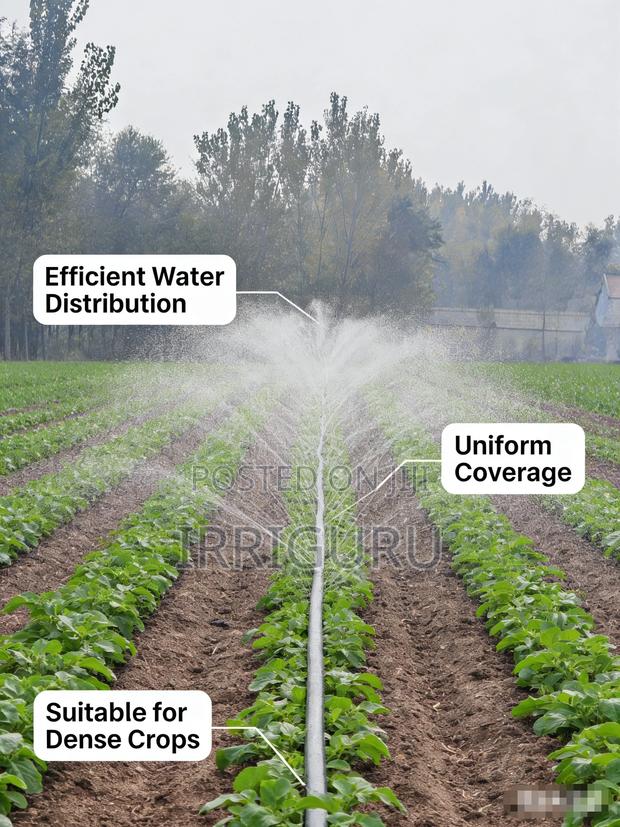 Low Cost, Quick Returnhigh Roi With Micro-Sprinkler Systems.