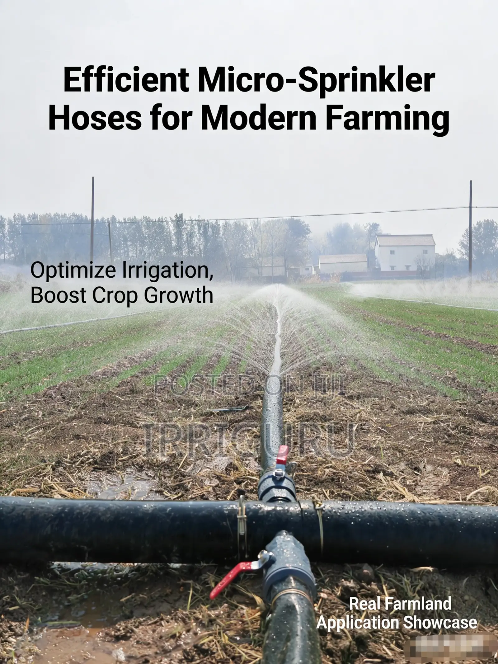 Reduces Evaporation: Micro-Sprinklers Dramatically Boost Water Efficie