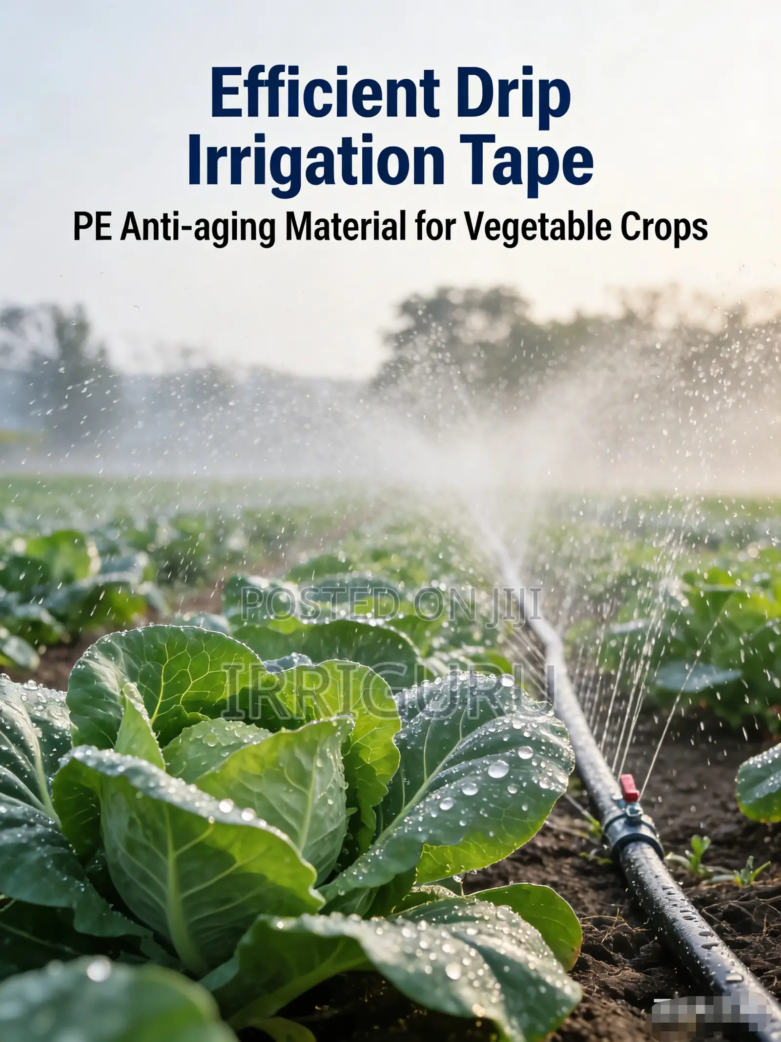 Micro-Sprinkler Systems: Power Your Farm With Technology.