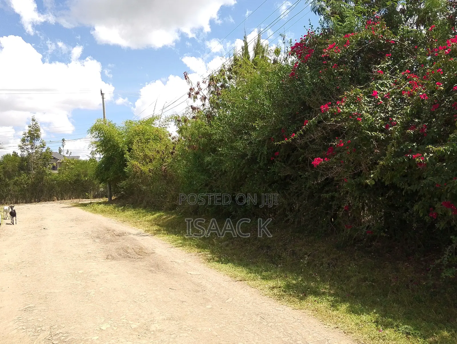 1/4 Acre for Sale, Maji Ya Pili, Ruai Nairobi