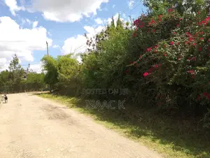 1/4 Acre for Sale, Maji Ya Pili, Ruai Nairobi