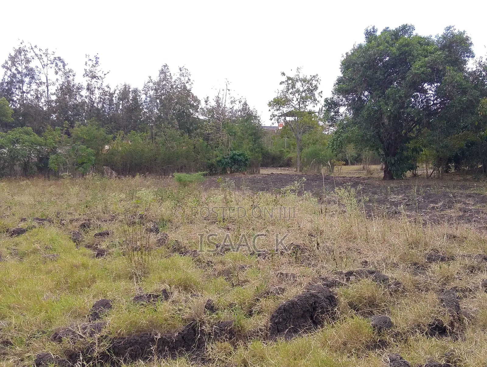 1/4 Acre for Sale, Maji Ya Pili, Ruai Nairobi