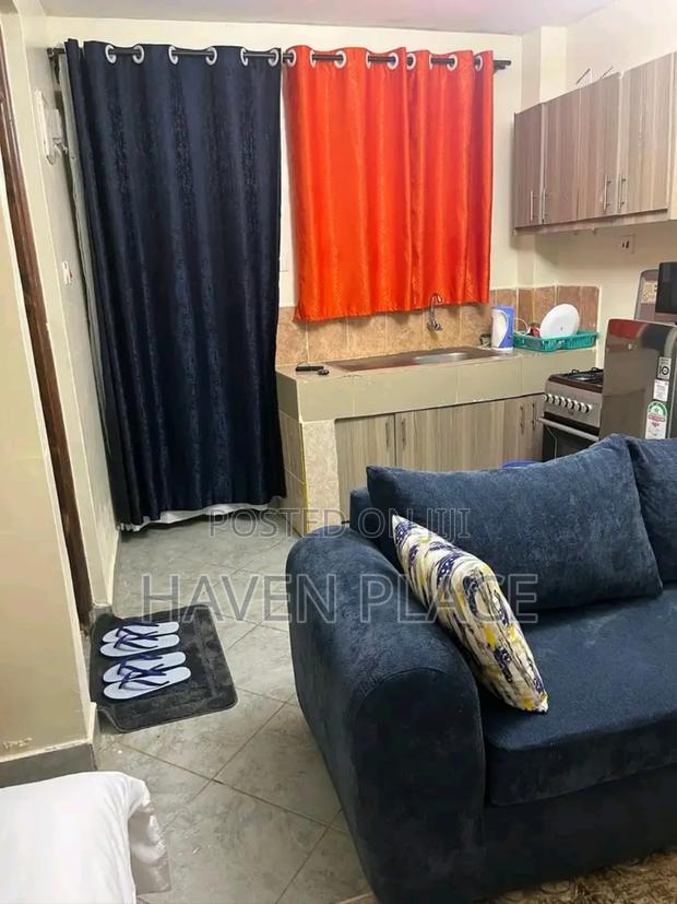 Fully Furnished Studio Airbnb in Ruaka Joyland - main view