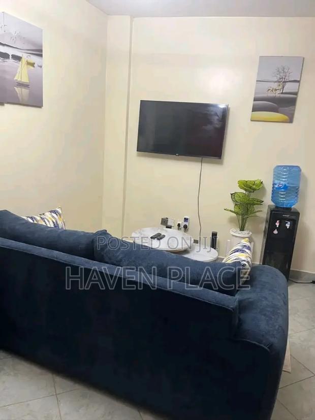 Fully Furnished Studio Airbnb in Ruaka Joyland - thumbnail 5