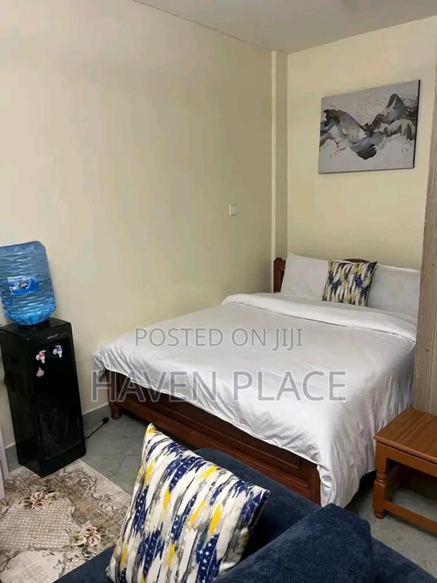 Fully Furnished Studio Airbnb in Ruaka Joyland - thumbnail 7