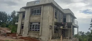 Windows and Doors