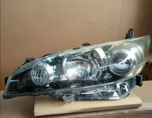 Headlight Wish 2010