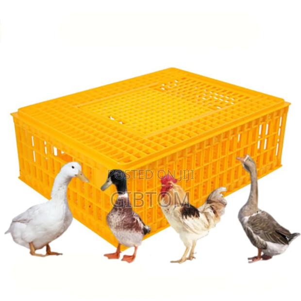 Poultry Transport Crates - thumbnail 3