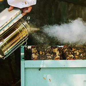Honey Harvesting Full Kit
