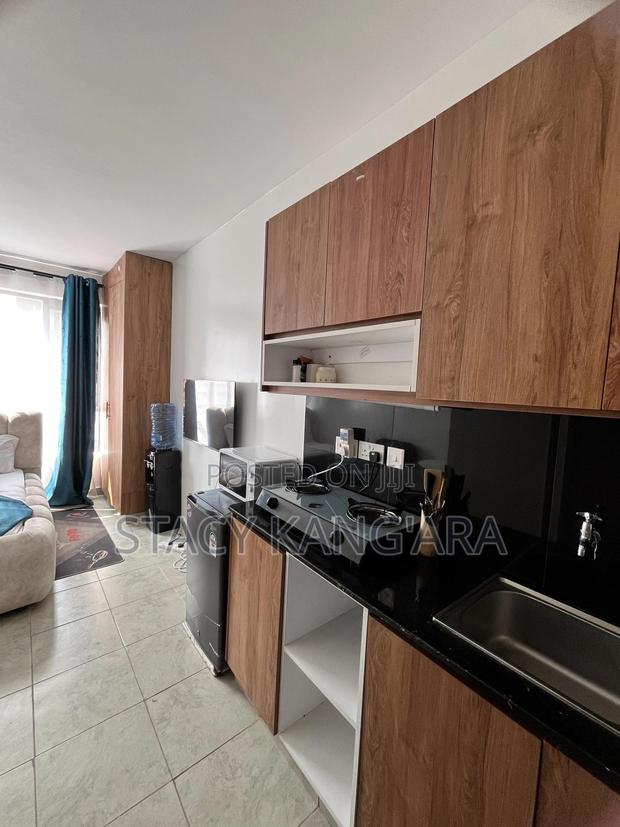 Small Studio Apartment - thumbnail 3