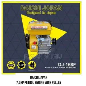 Daichi Dj-168f 7.5hp Agricultural Petrol Engine With a Pulley.