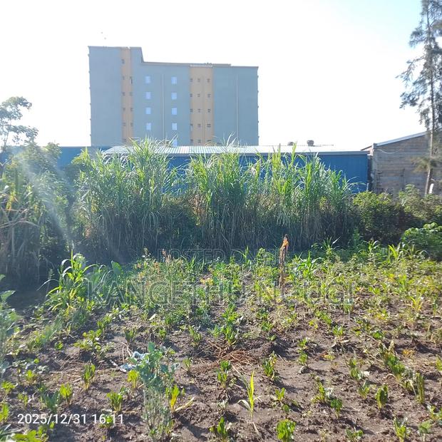 55x120 Commercial Plot Oj Ruiru - thumbnail 2