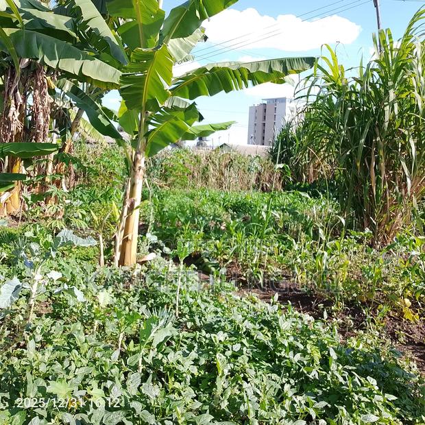 55x120 Commercial Plot Oj Ruiru - thumbnail 5