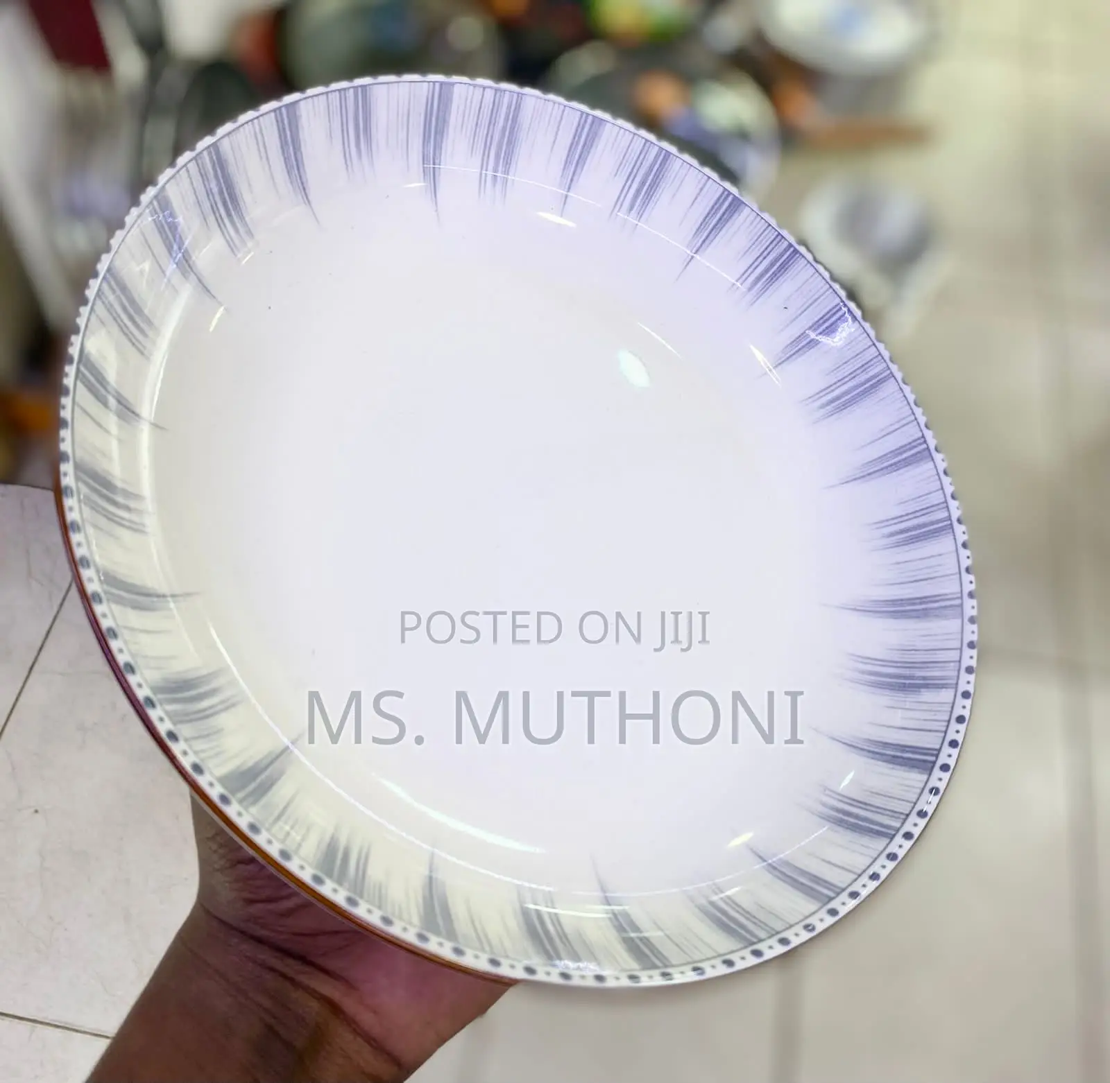 6 PCS Quality Ceramic 10inch Dinner Plates Are Available