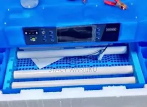 Best Quality Electric/ Solar Egg Incubator