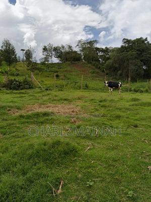 2.5 Acres Land of Sale - thumbnail 2