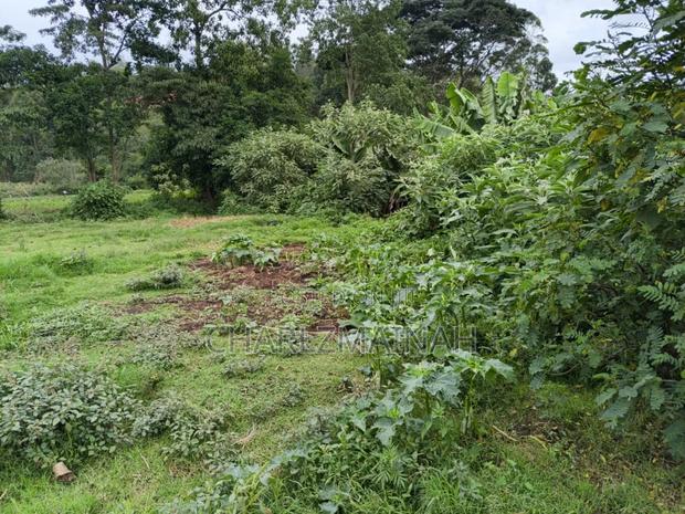 2.5 Acres Land of Sale - thumbnail 4