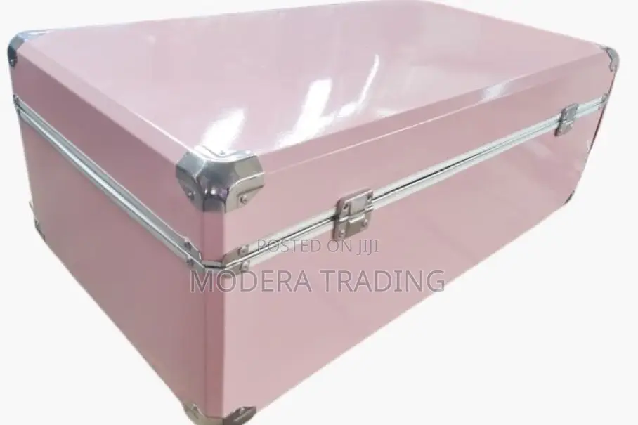 Premium Metallic School Box- 
