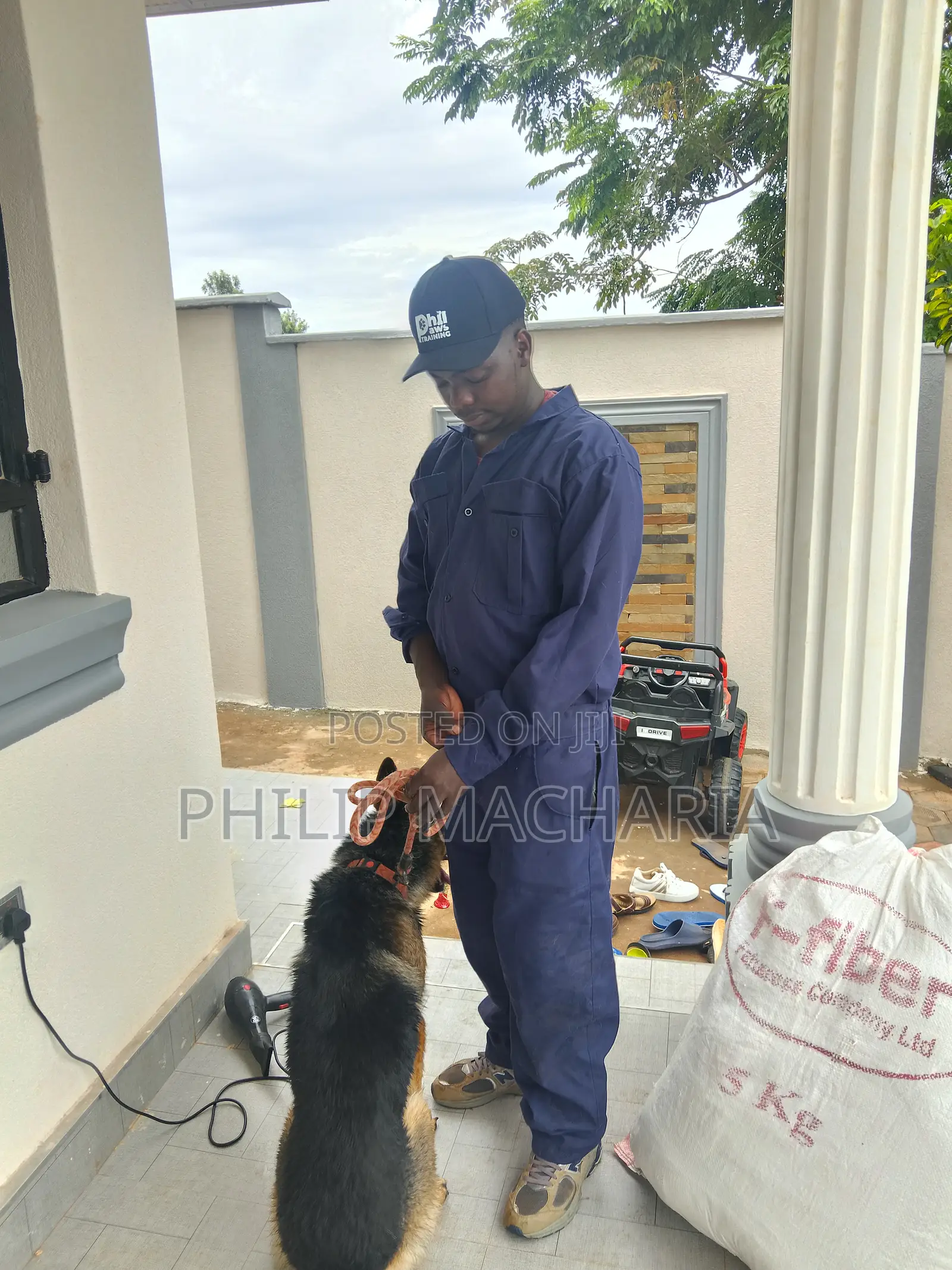 Dog Grooming