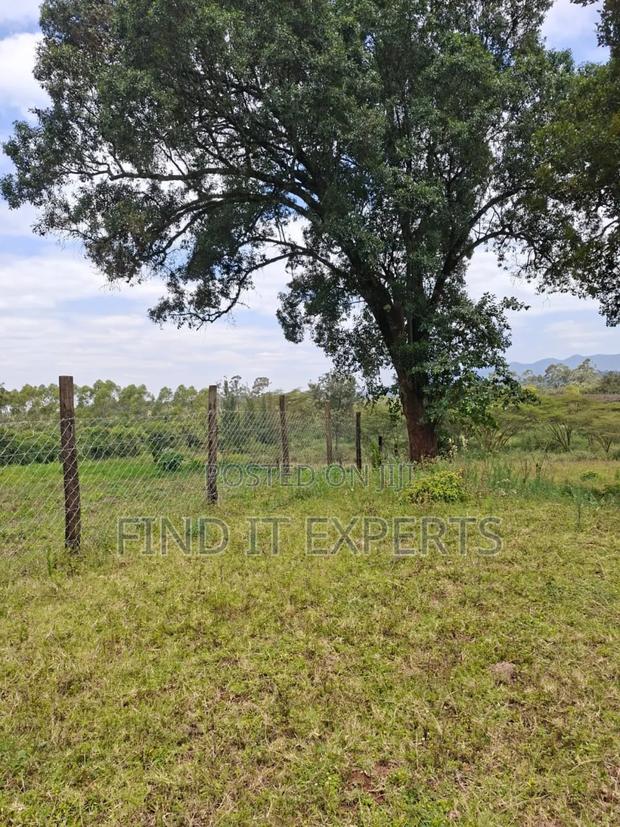 Prime Land for Sale in Karen - thumbnail 2