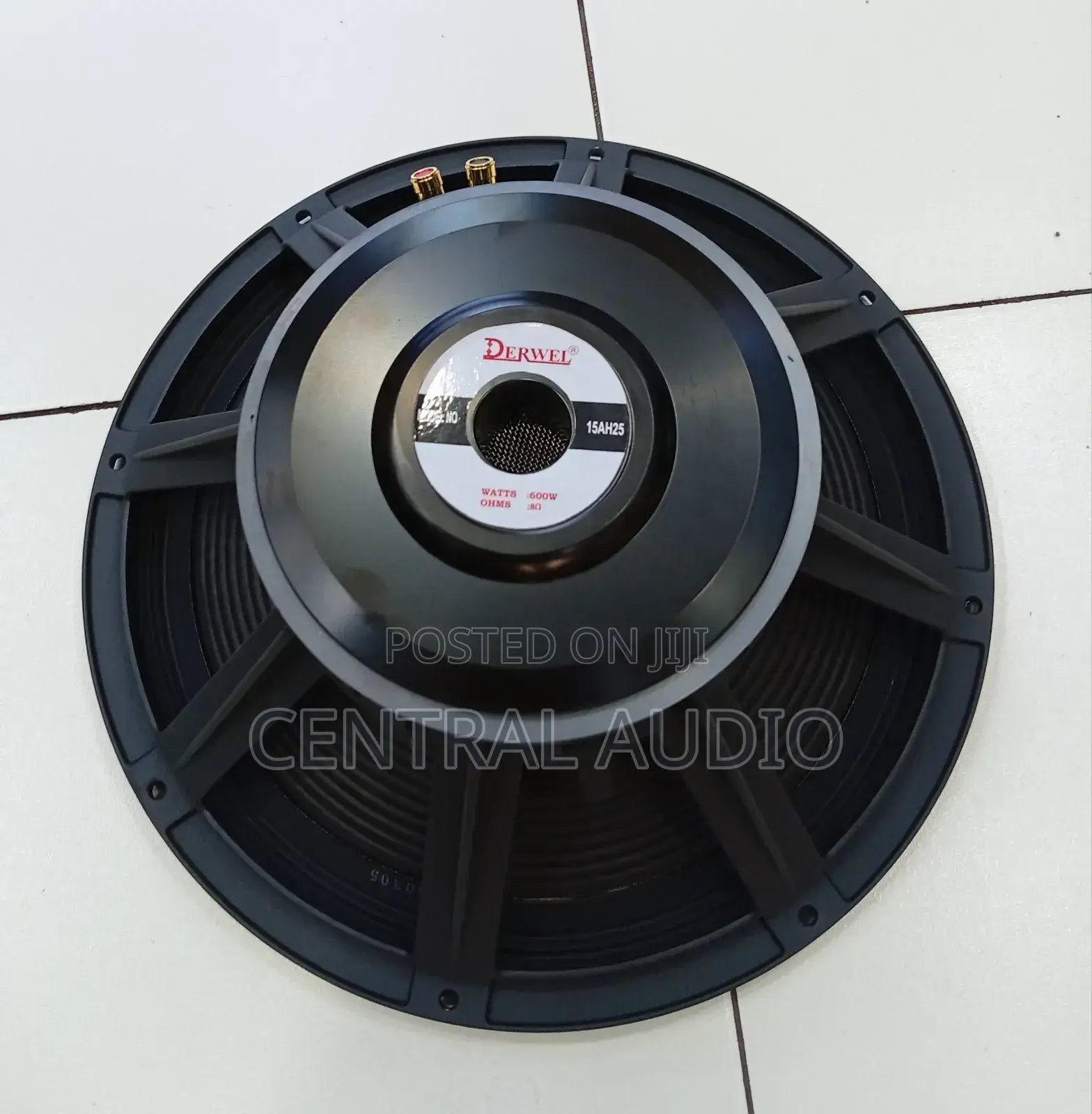 Derwel 15inch Naked Speaker