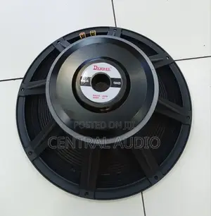 Derwel 15inch Naked Speaker