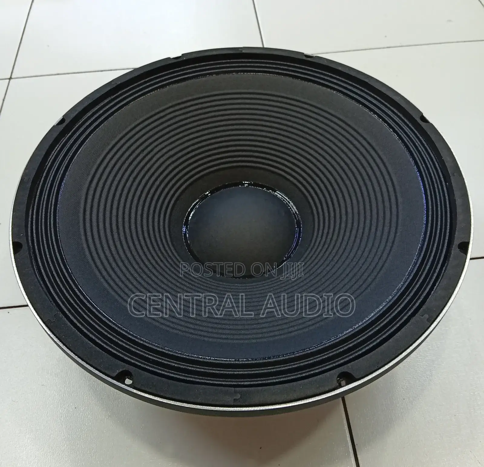 Derwel 15inch Naked Speaker