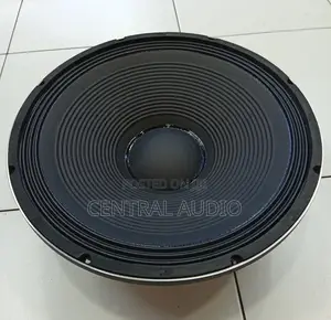 Derwel 15inch Naked Speaker