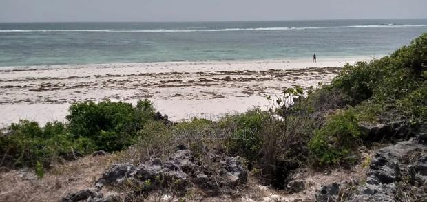 10 Acres Front Row Beach Property – Kilifi - thumbnail 13