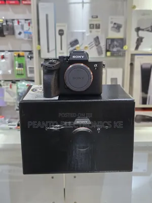 Sony Alpha A7 Iv Mirrorless Digital Camera (Body Only)