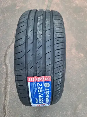 225/45r17 Lionlord Tires