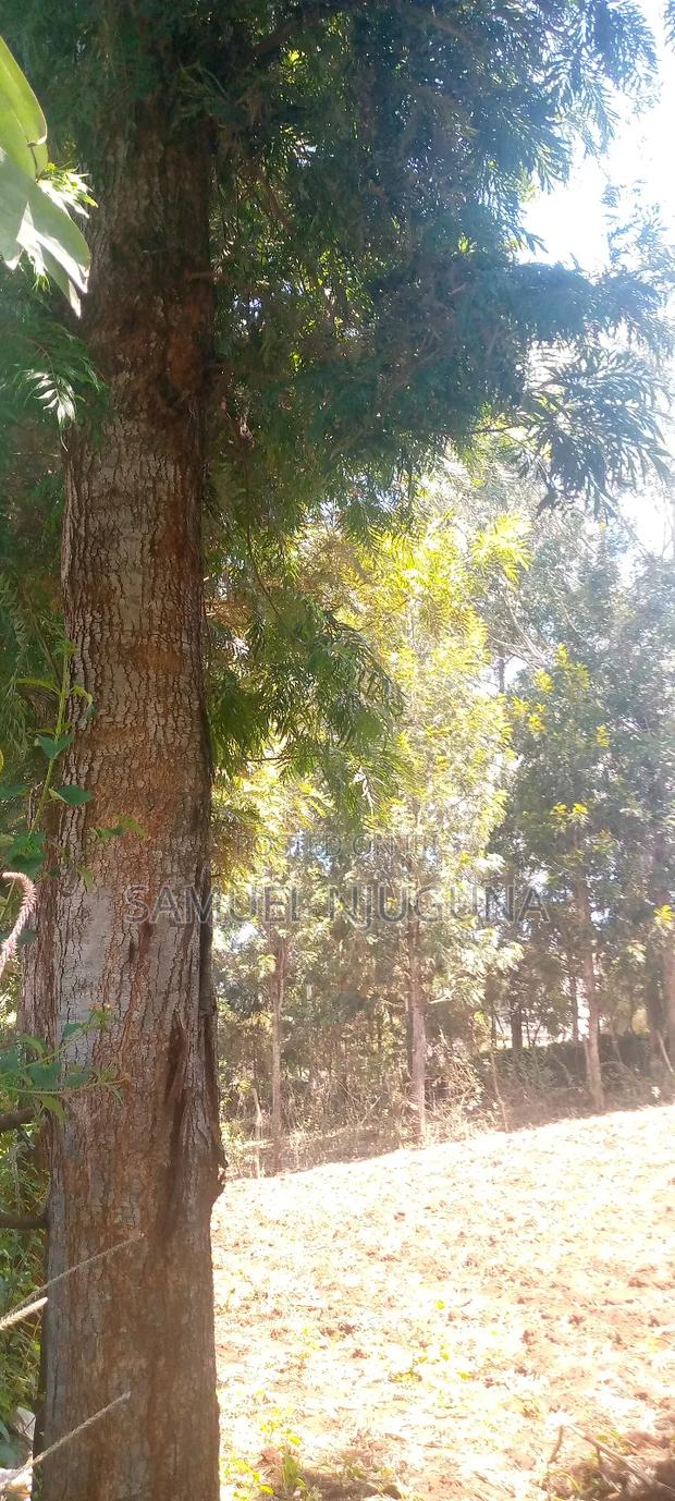 Land With Trees for Sale Ngong Red Soil Acre 1/4
