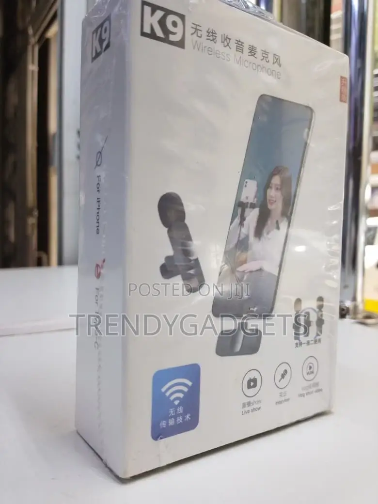 Wireless Audio Microphone One-to-Two System