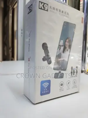 Wireless Audio Microphone One-to-Two System