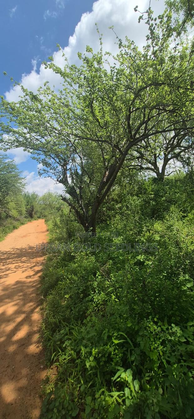 Pocket Friendly Lands on Sale - thumbnail 2