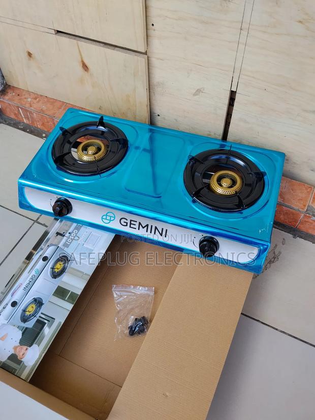 Gemini 2-Burner Auto Spark Stove | Stainless Steel