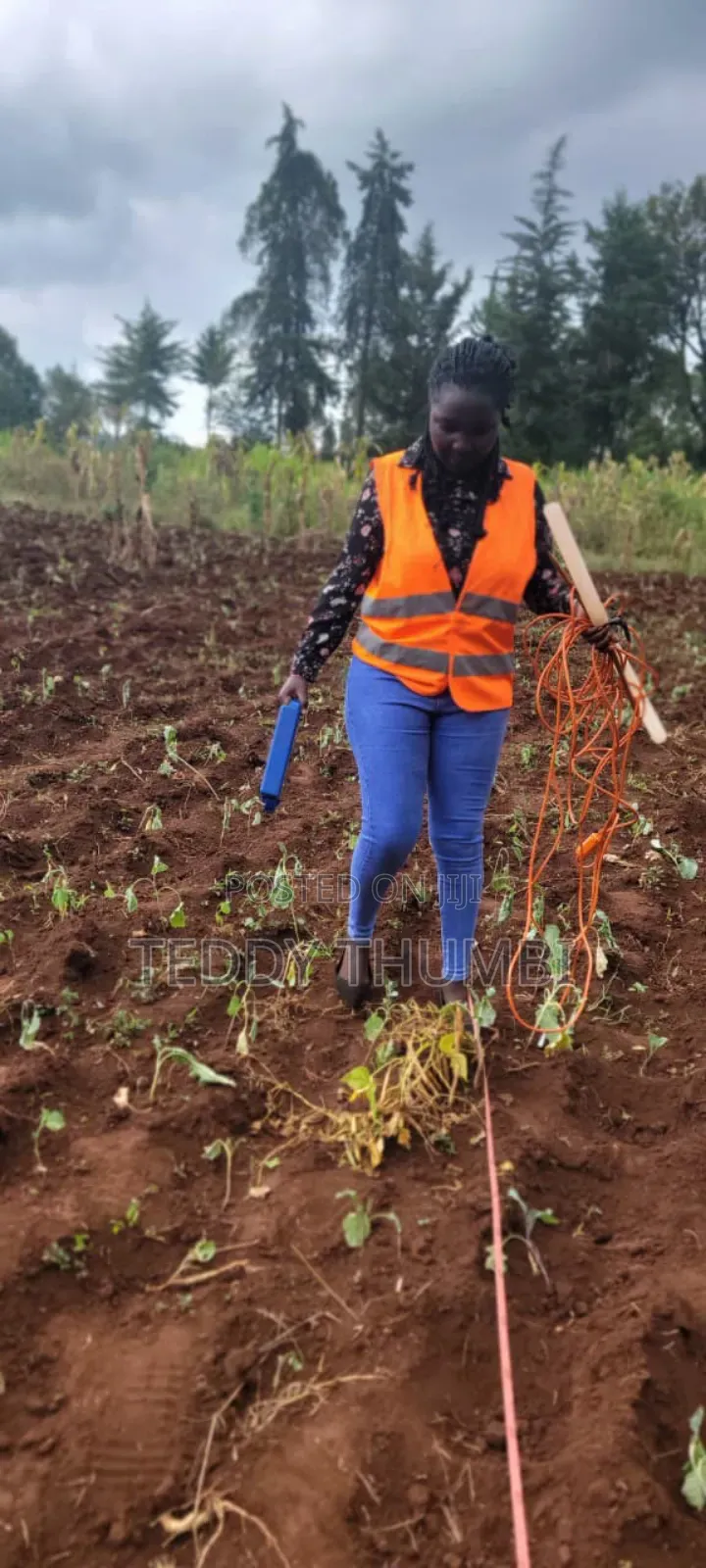 Borehole Survey