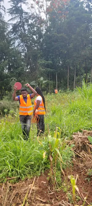 Borehole Survey
