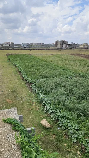 40×80 . 250mtrs From Eastern Bypass 8km From Kamakis