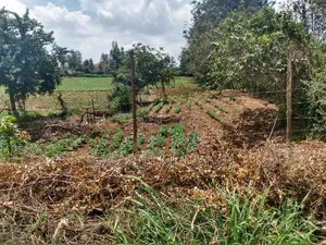 Its 182 Acres Coffee Land for Sale