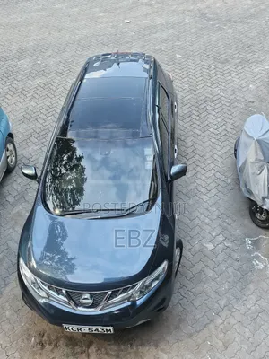 Nissan Murano LE 2011 Blue