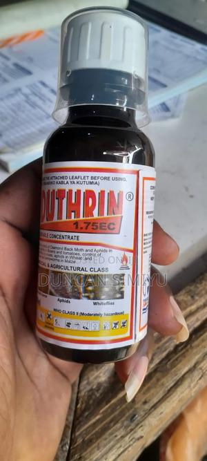 Dudu Thrin 1.75 Ec - main view