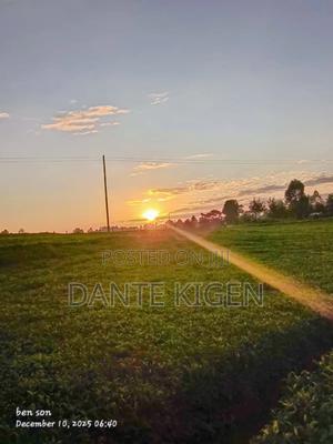 Land Being on Sell - thumbnail 2