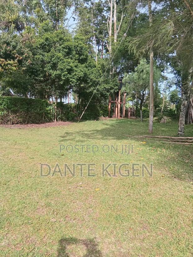 Land Being on Sell - thumbnail 3