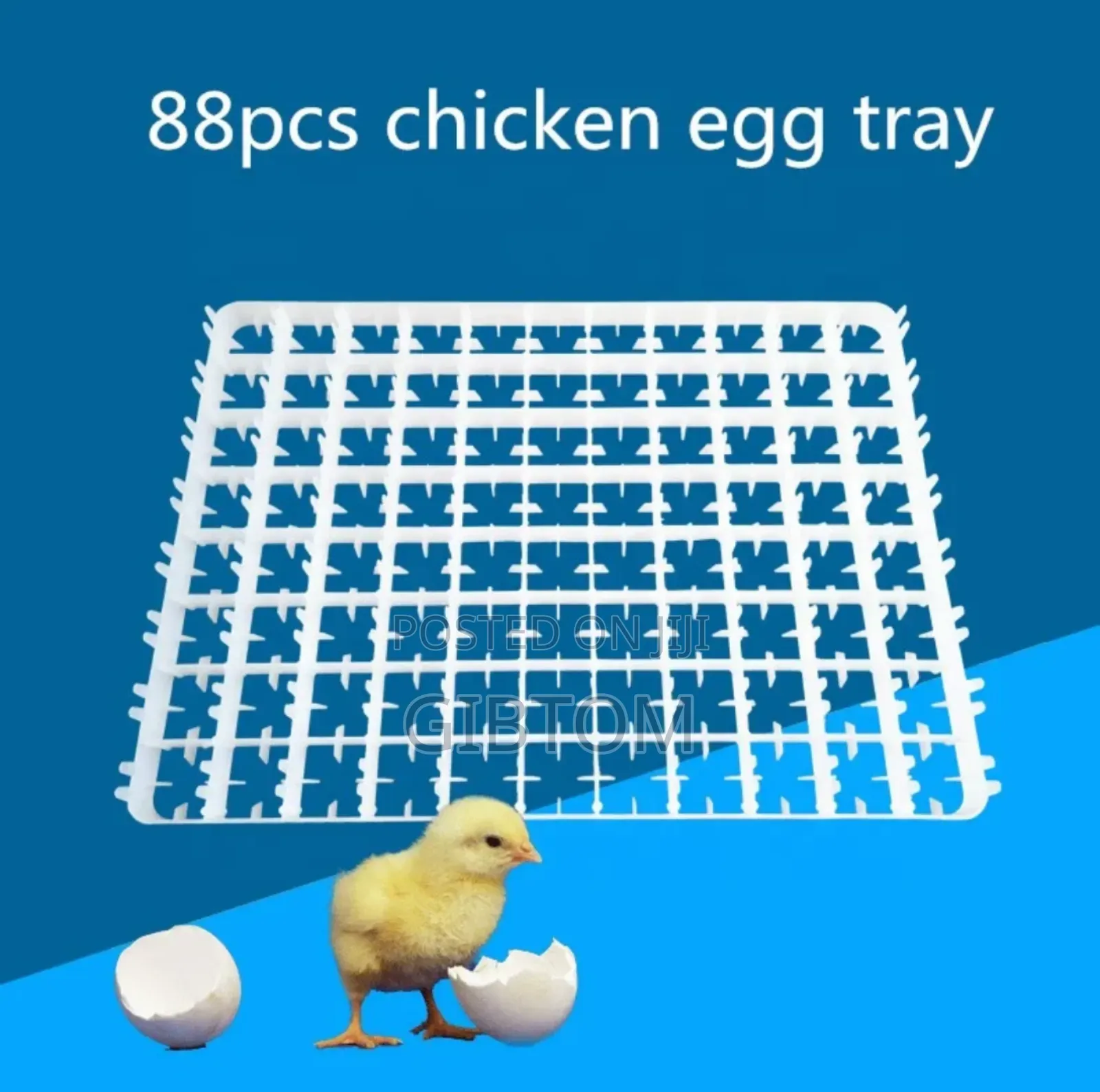 Poultry Eggs Incubators Setters Trays